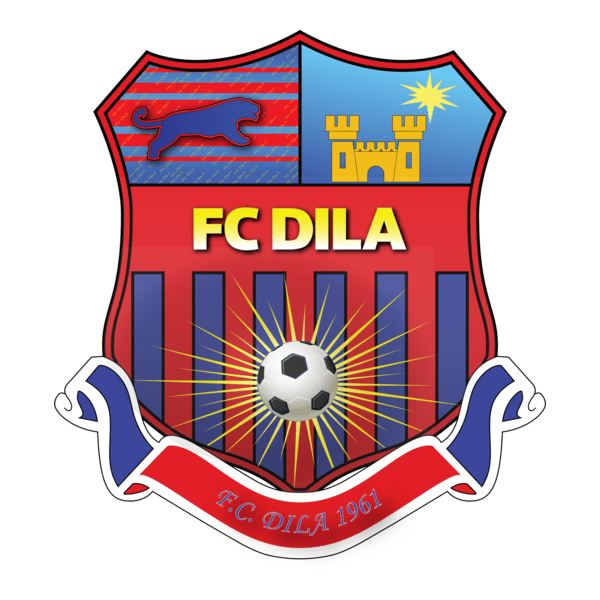 Dila Gori 