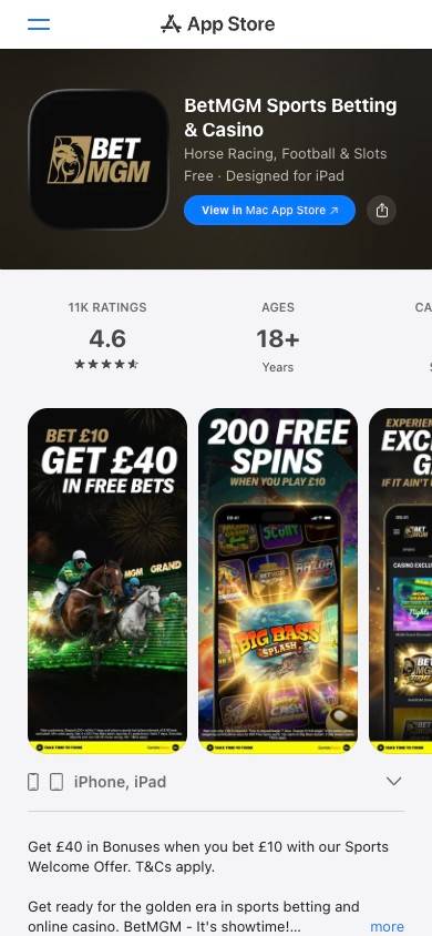 BetMGM App and Mobile Friendliness screenshot