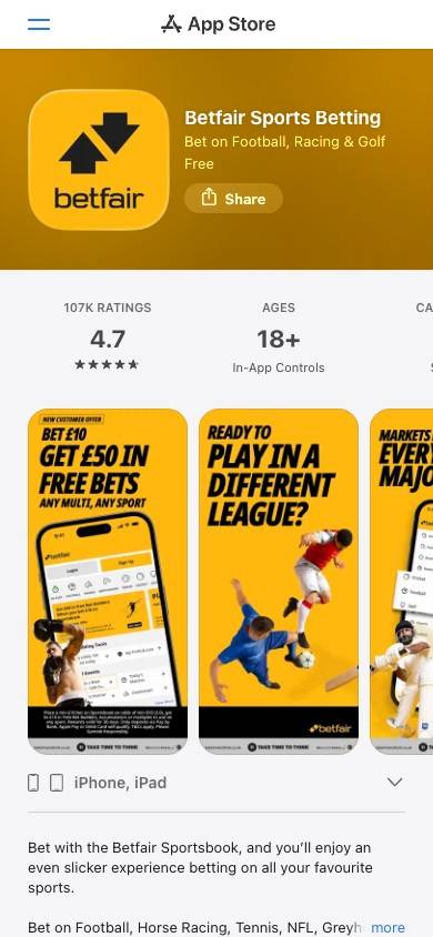 Betfair App and Mobile Friendliness screenshot