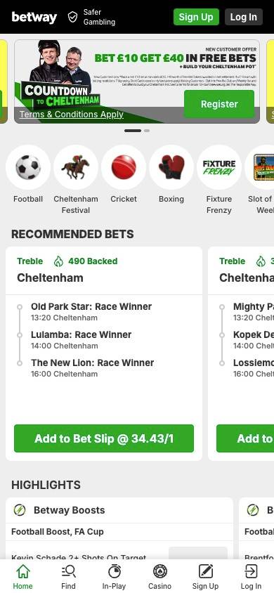 Betway User Experience screenshot