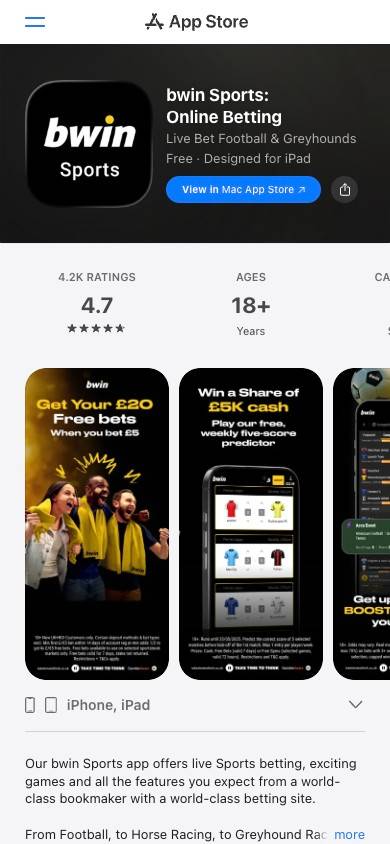 Bwin App and Mobile Friendliness screenshot