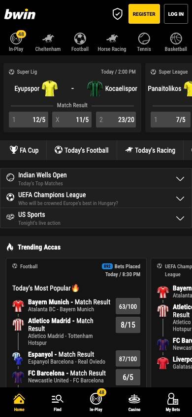 Bwin User Experience screenshot