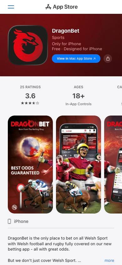 DragonBet App and Mobile Friendliness screenshot