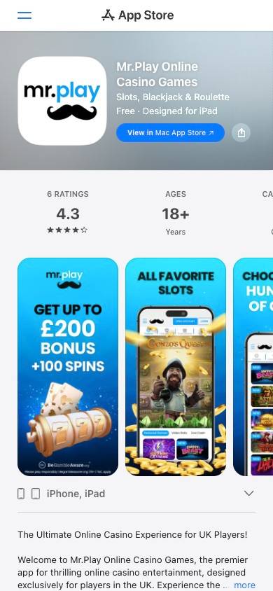 Mr Play App and Mobile Friendliness screenshot