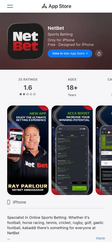 NetBet App and Mobile Friendliness screenshot