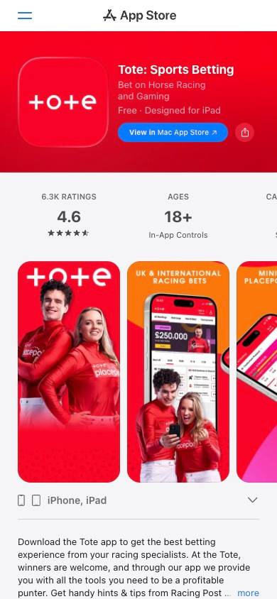 Tote App and Mobile Friendliness screenshot