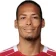 V. van Dijk